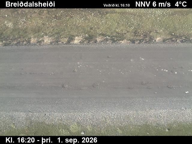breiddalsheidi_2-1788287169.jpg