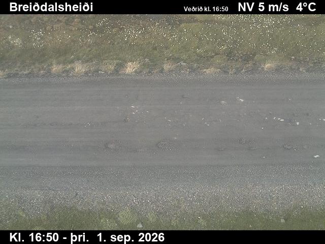 breiddalsheidi_2-1788289304.jpg