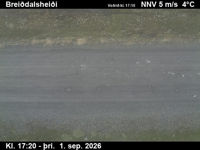 breiddalsheidi_2-1788290730.jpg