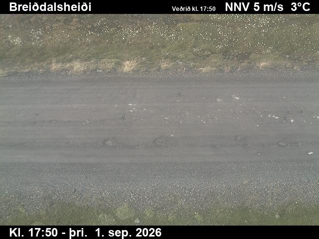 breiddalsheidi_2-1788292920.jpg