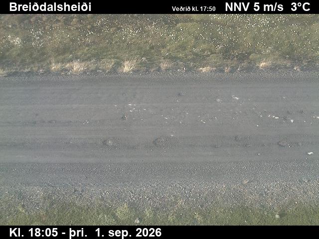 breiddalsheidi_2-1788293190.jpg