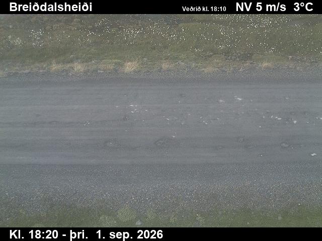 breiddalsheidi_2-1788294330.jpg