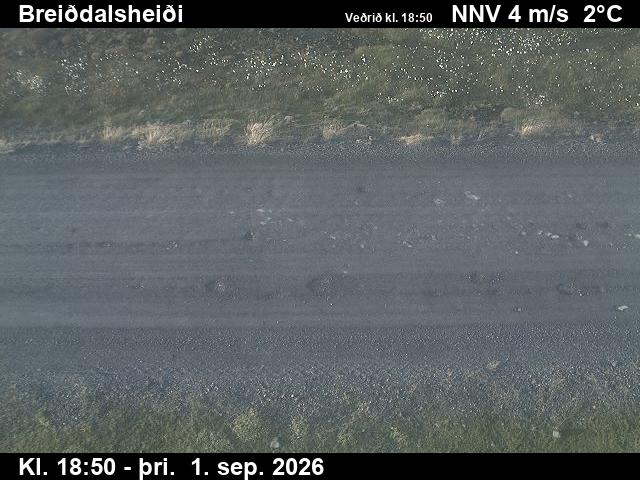 breiddalsheidi_2-1788296443.jpg