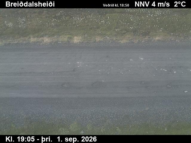 breiddalsheidi_2-1788296736.jpg