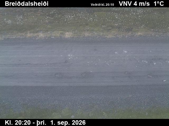 breiddalsheidi_2-1788301553.jpg