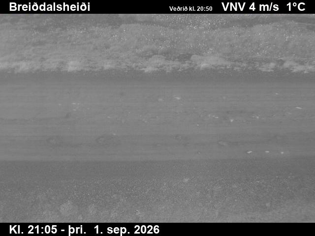 breiddalsheidi_2-1788303959.jpg