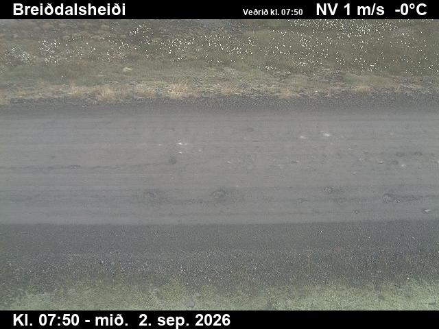 breiddalsheidi_2-1788343319.jpg