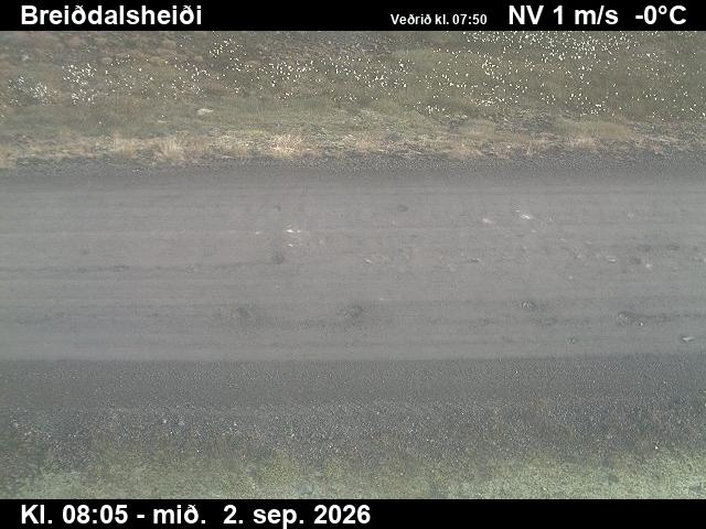 breiddalsheidi_2-1788343568.jpg