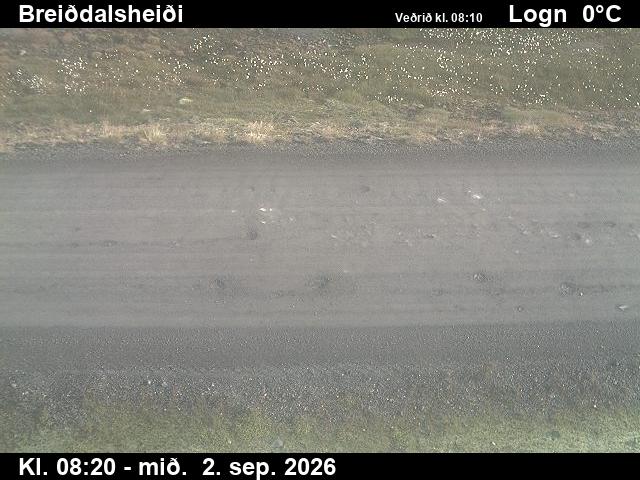 breiddalsheidi_2-1788344767.jpg