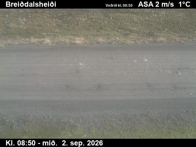 breiddalsheidi_2-1788346922.jpg