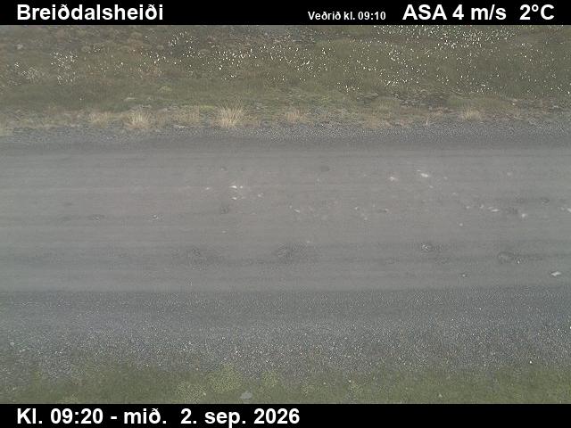 breiddalsheidi_2-1788348333.jpg