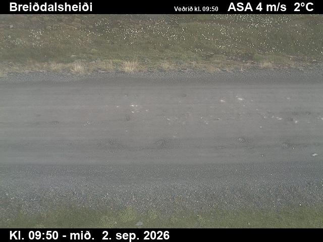 breiddalsheidi_2-1788350564.jpg