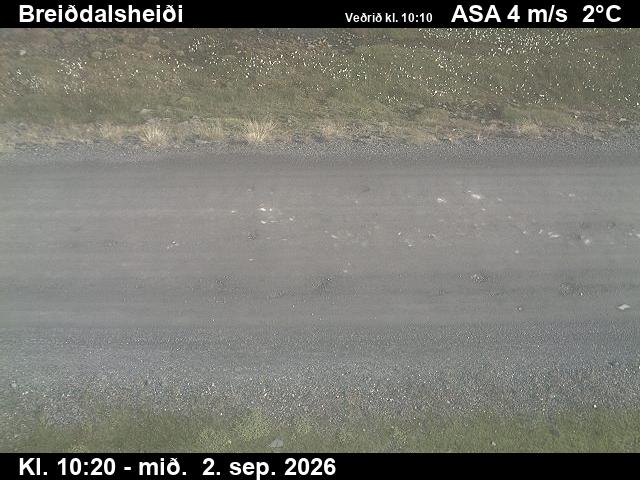 breiddalsheidi_2-1788351934.jpg