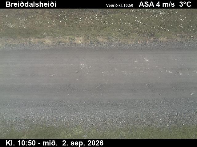 breiddalsheidi_2-1788354159.jpg