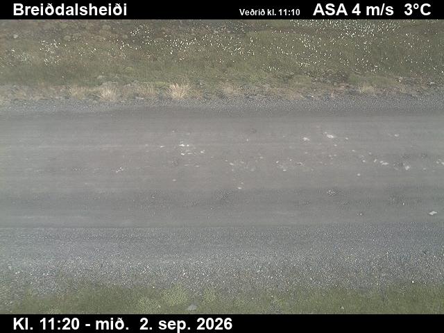breiddalsheidi_2-1788355555.jpg