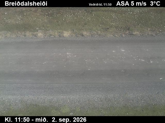 breiddalsheidi_2-1788357705.jpg