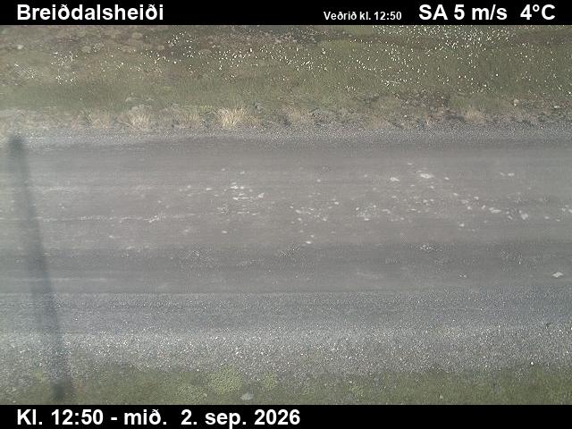 breiddalsheidi_2-1788361252.jpg