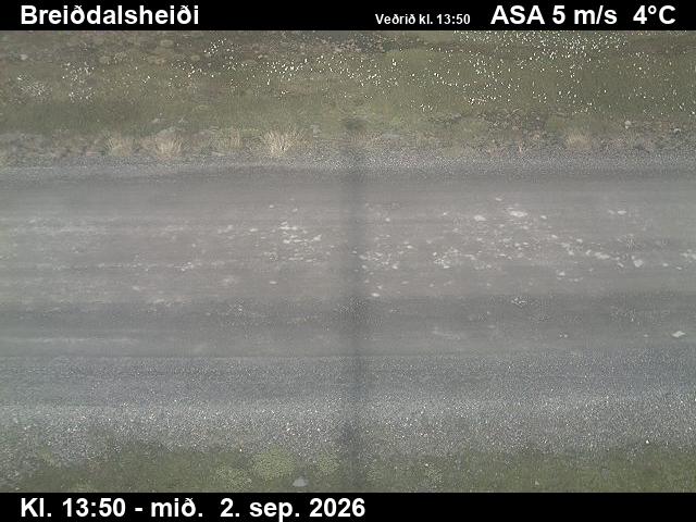 breiddalsheidi_2-1788364860.jpg