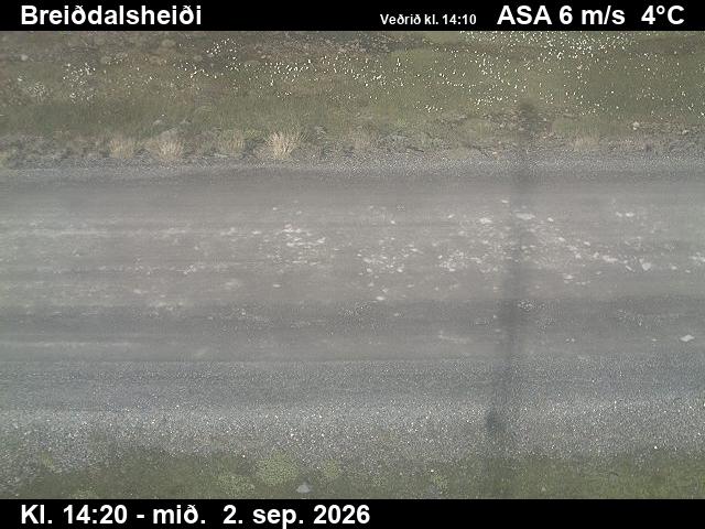breiddalsheidi_2-1788366343.jpg