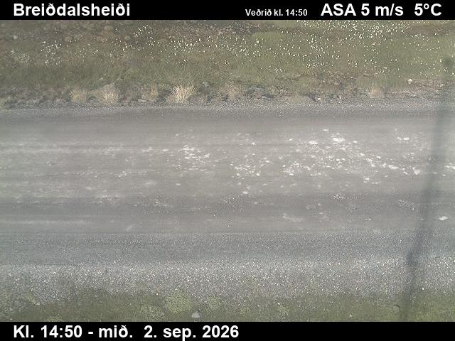 breiddalsheidi_2-1788368445.jpg