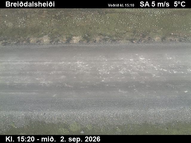 breiddalsheidi_2-1788369943.jpg