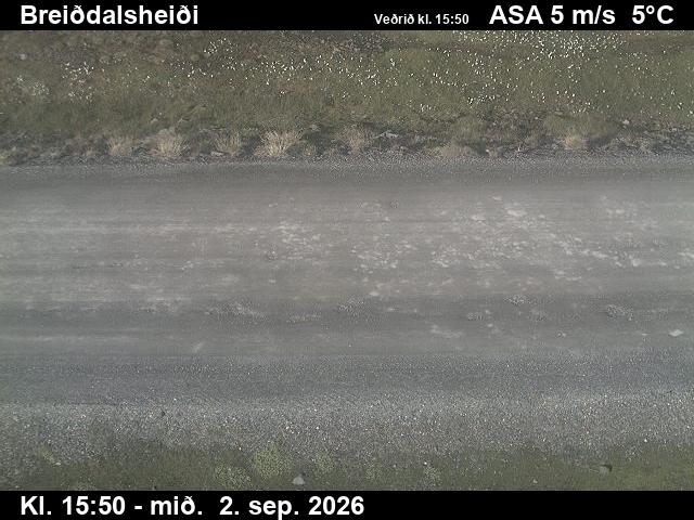 breiddalsheidi_2-1788372080.jpg