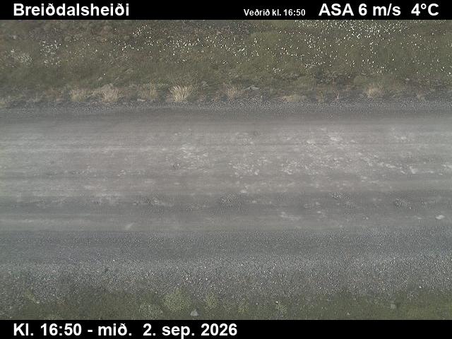 breiddalsheidi_2-1788375736.jpg