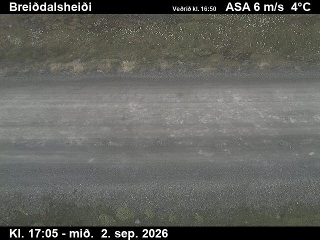 breiddalsheidi_2-1788375966.jpg