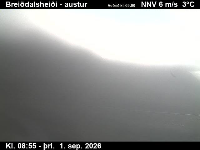 breiddalsheidi_3-1788260790.jpg