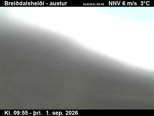 breiddalsheidi_3-1788264110.jpg
