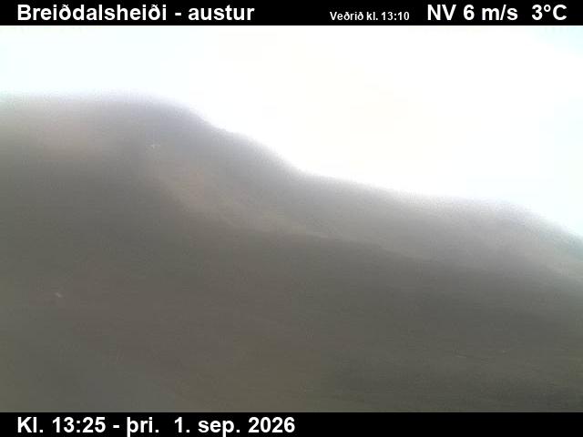 breiddalsheidi_3-1788276342.jpg