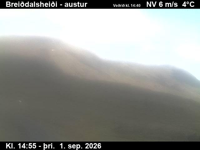 breiddalsheidi_3-1788282351.jpg