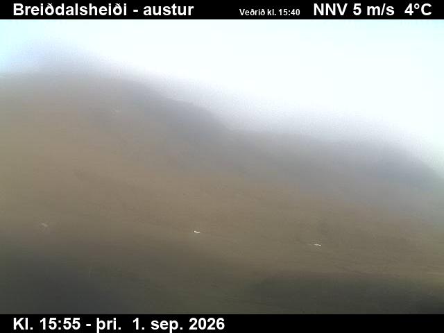 breiddalsheidi_3-1788285662.jpg