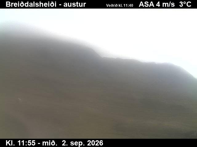 breiddalsheidi_3-1788357664.jpg