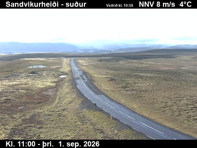 sandvikurheidi_1-1788267660.jpg