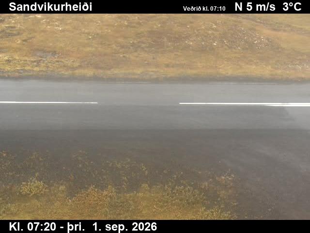 sandvikurheidi_2-1788254763.jpg