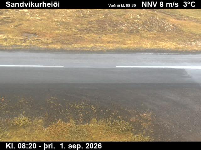 sandvikurheidi_2-1788258532.jpg