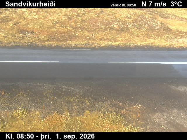 sandvikurheidi_2-1788260485.jpg