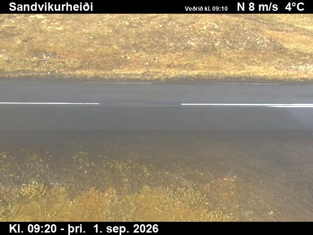 sandvikurheidi_2-1788261956.jpg