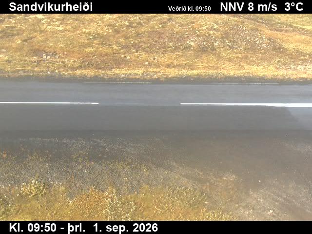 sandvikurheidi_2-1788264058.jpg
