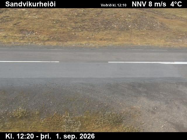 sandvikurheidi_2-1788272747.jpg