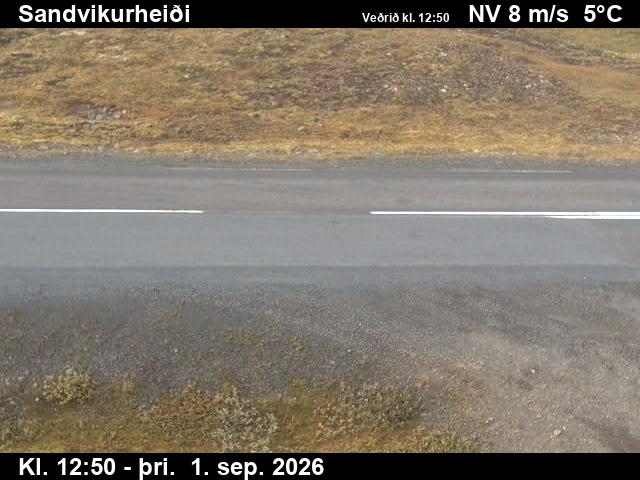 sandvikurheidi_2-1788274833.jpg
