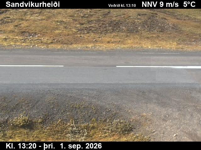 sandvikurheidi_2-1788276342.jpg