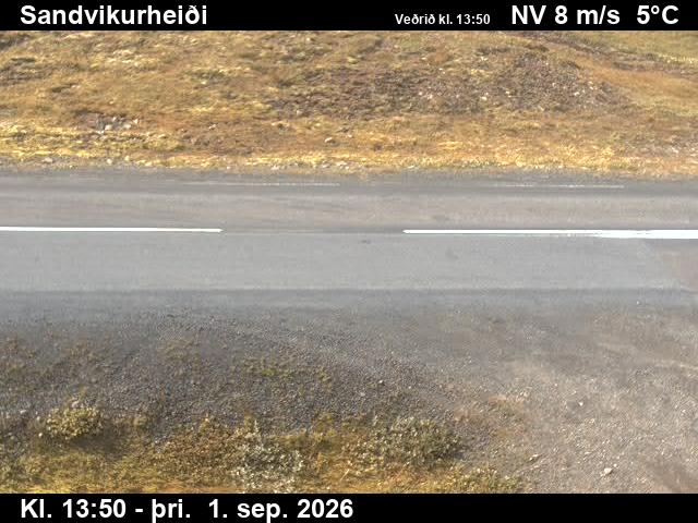 sandvikurheidi_2-1788278481.jpg
