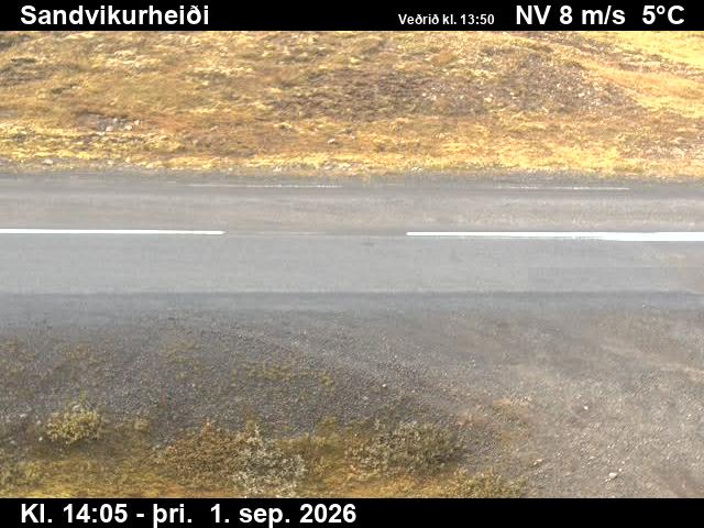 sandvikurheidi_2-1788278736.jpg