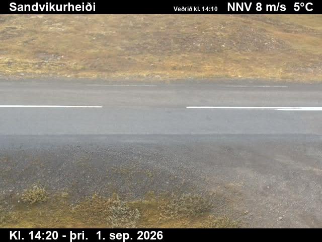 sandvikurheidi_2-1788279953.jpg