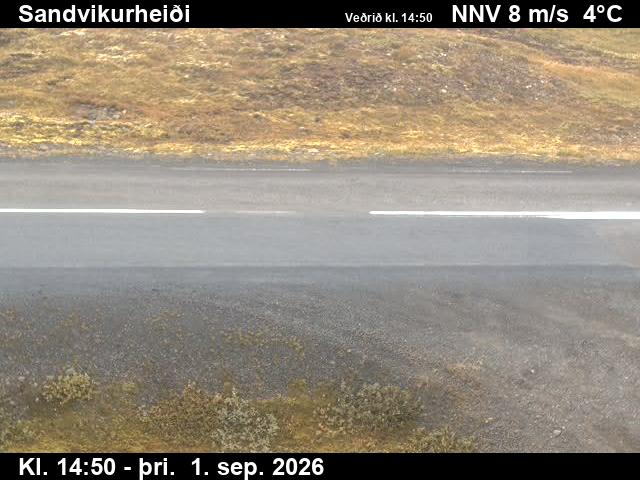 sandvikurheidi_2-1788282070.jpg