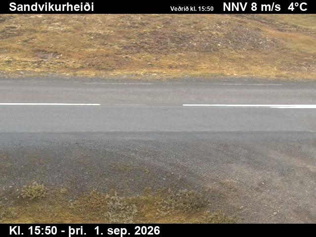 sandvikurheidi_2-1788285696.jpg