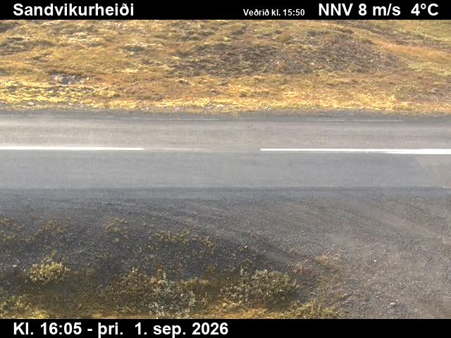 sandvikurheidi_2-1788285935.jpg
