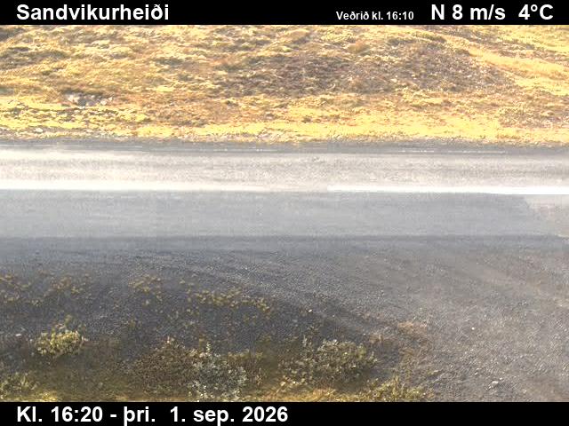 sandvikurheidi_2-1788287169.jpg